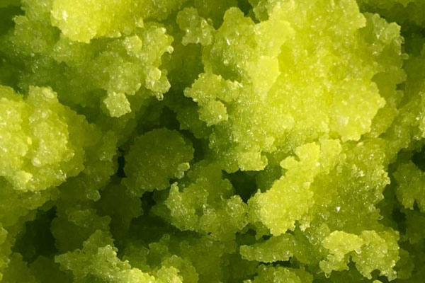 Algascrub Dren Cell Anticellulite 4