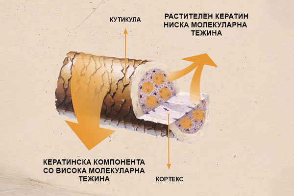 UPKer Vlakno Zazdravuvanje